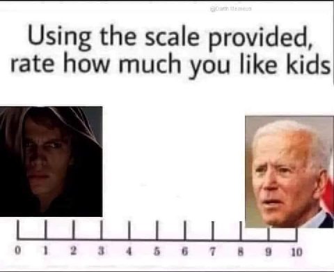Using the scale provided, rate how much you like kids