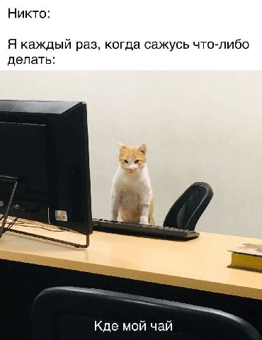 Никто: Я каждый раз, когда сажусь что-либо делать: Кде мой чай