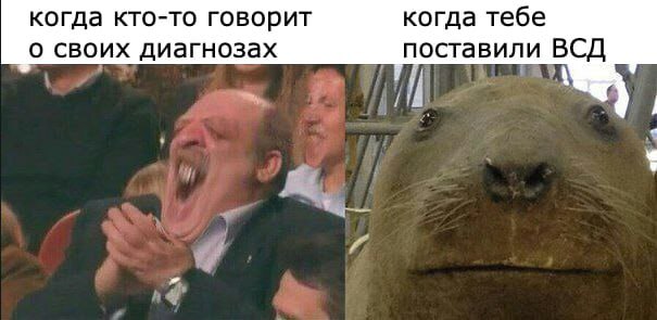 когда кто-то говорит когда тебе о своих диагнозах поставили ВСД