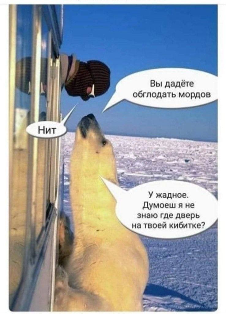 Вы дадёте 4 обглодать мордов 3 У жадное. Думоеш я не знаю где дверь на твоей кибитке?