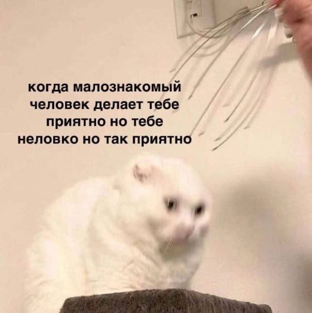 когда малознакомый человек делает тебе приятно но тебе неловко но так приятно