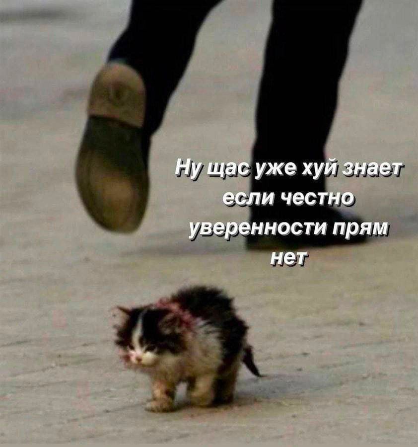 Ну щас уже хуй знает если честно уверенности прям нет