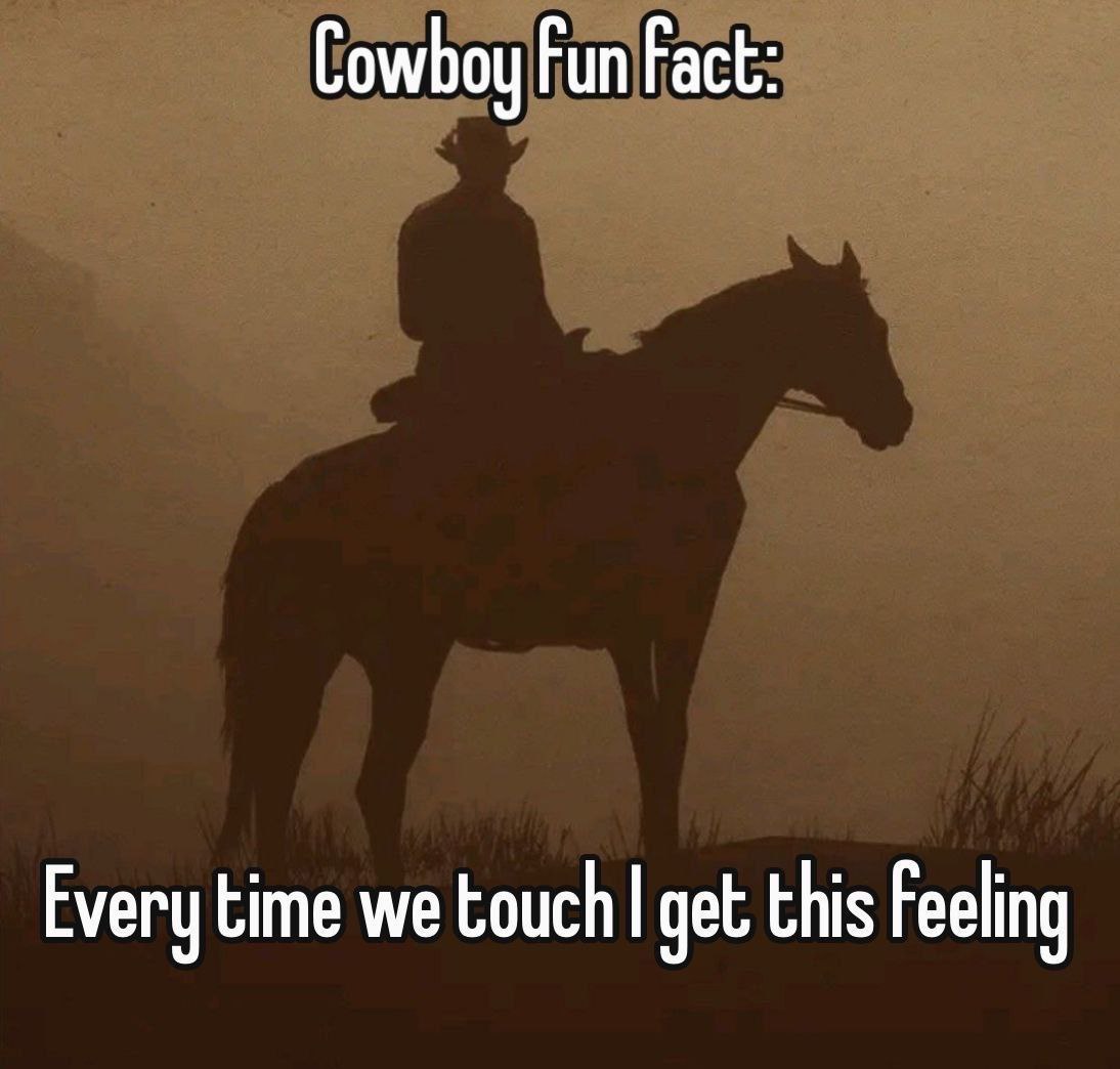 Cowboy Fun Fact: Every time we touch get this Feeling