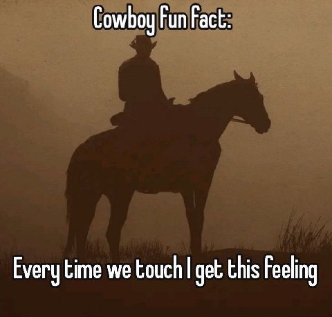 Cowboy Fun Fact: Every time we touch get this Feeling