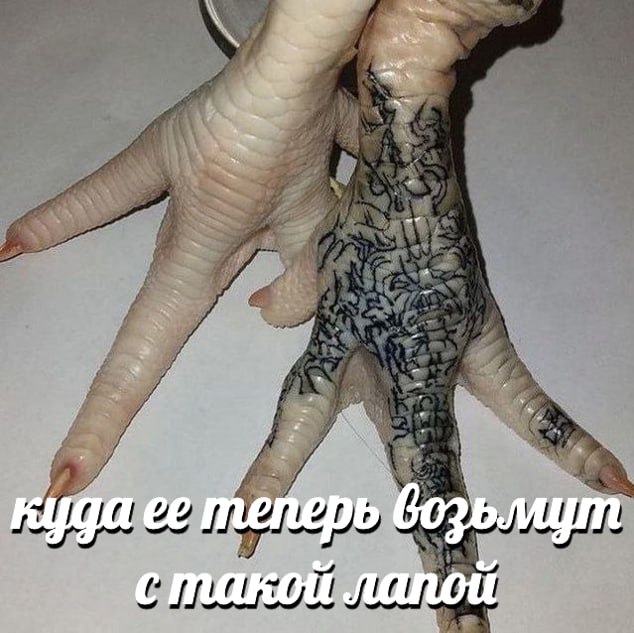 стакой лапой