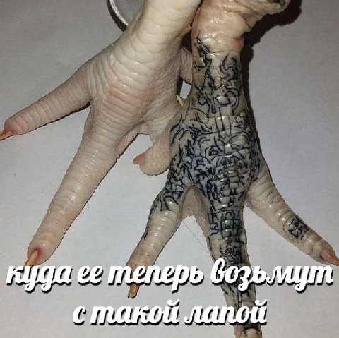 стакой лапой