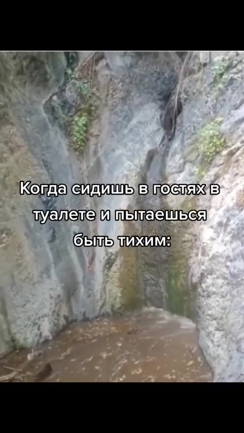 Koraalevauuibye гостях] туалете И пытаешься] > бытьтихим: Когда сидишь в поетяв) туалетеИтытаешься] Когдасидишьв гостя] ‘бытытихим: