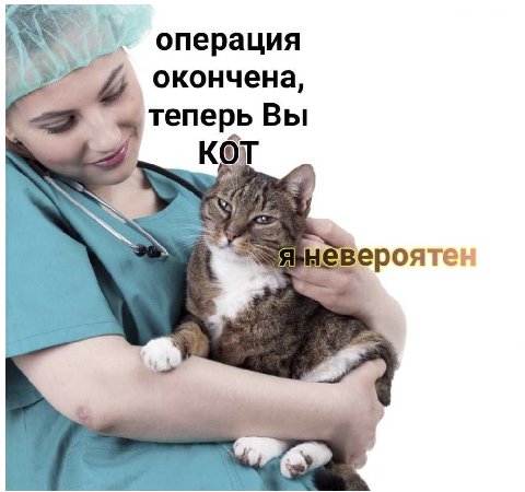 операция окончена, теперь Вы KOT невероятен