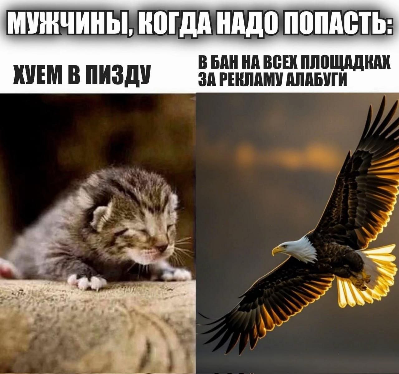 МУЖЧИНЫ, КОГДА НАДО ПОПАСТЬ: В БАН НА ВСЕХ ПЛОЩАДКАХ ХУЕМ В ПИЗДУ ЗА РЕНЛАМУ АЛАБУГИ