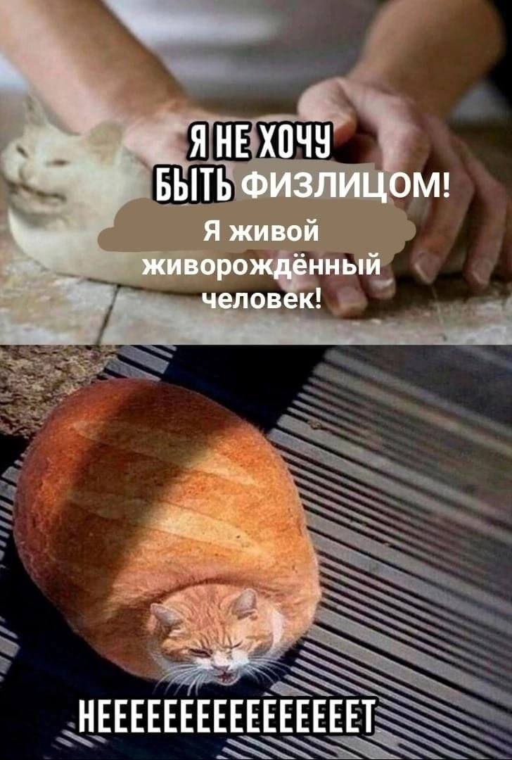 Я НЕ ХОЧУ БЫТЬ Физлицом! Я живой живорождённый человек! НЕЕЕЕЕЕЕЕЕЕЕЕЕЕЕЕТ