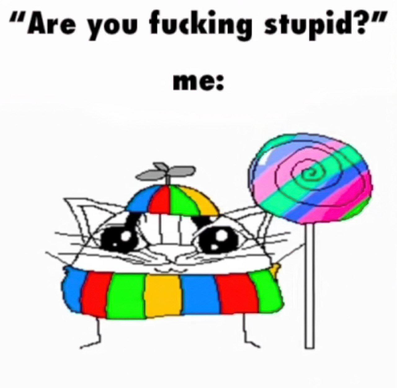 “Are you fucking stupid?” me: