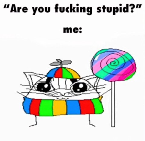 “Are you fucking stupid?” me: