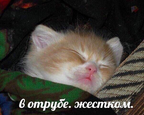 6 жестком.