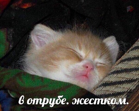 6 жестком.