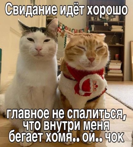 Свидание идёт хорошо о и главное не спалитёея что внутри бегает хомя.,