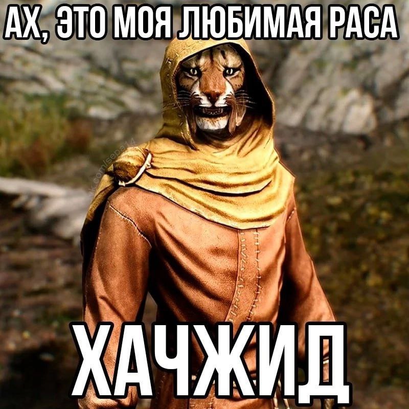 ЭТО МОЯ ЛЮБИМАЯ РАСА ХАЧЖИД