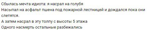 обосрал голубя насмерть