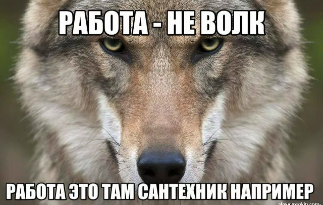 РАБО РАБОТА ЭТО ТАМ САНТЕХНИК НАПРИМЕР