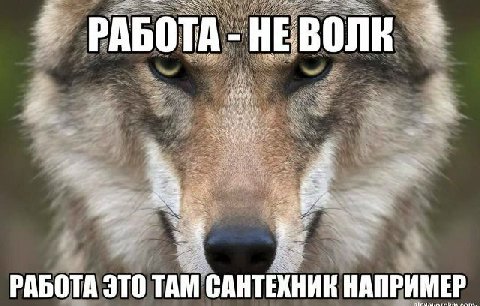 РАБО РАБОТА ЭТО ТАМ САНТЕХНИК НАПРИМЕР