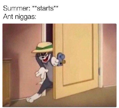Ant niggas: