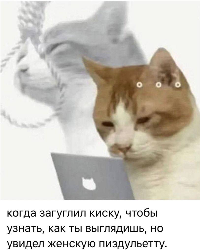 о о о когда загуглил киску, чтобы узнать, как ты выглядишь, но увидел женскую пиздульетту.