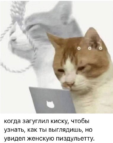 о о о когда загуглил киску, чтобы узнать, как ты выглядишь, но увидел женскую пиздульетту.