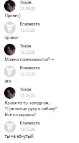 Тихон Елизавета привет Тихон Можно познакомится? Елизавета ага Тихон Какая TO ты: холодная. *Приложил руку к лобику* Все ли хорошо? Елизавета ты че ебнутый