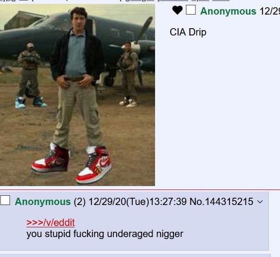 Anonymous 12/2: CIA Drip Anonymous (2) 12/29/20(Tue)13:27:39 No.144315215 >>>/v/eddit you stupid fucking underaged nigger
