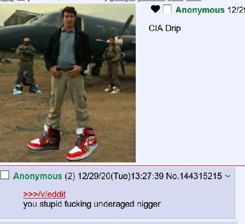 Anonymous 12/2: CIA Drip Anonymous (2) 12/29/20(Tue)13:27:39 No.144315215 >>>/v/eddit you stupid fucking underaged nigger