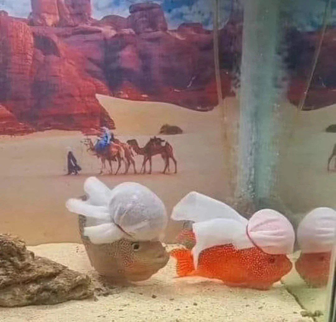 я