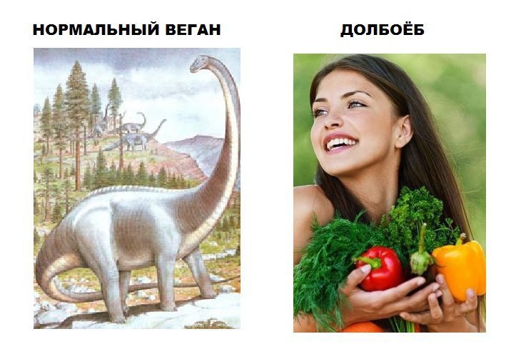 НОРМАЛЬНЫЙ ВЕГАН ДОЛБОЁБ 3 4 4 8: у i