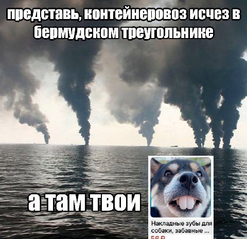 представь, контейнеровоз исчез в бермудском треугольнике 4 mii Накладные зубы для собаки, забавные