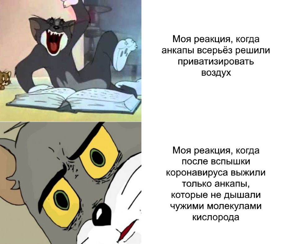 Моя реакция, когда анкапы всерьёз решили приватизировать воздух Моя реакция, когда после вспышки коронавируса выжили только анкапы, Я которые не дышали чужими молекулами кислорода