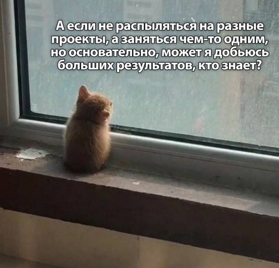 А если не распыляться на разные проекты, а Заняться чем-то одним, но основательно, может я добьюсь больших результатов, кто знает?