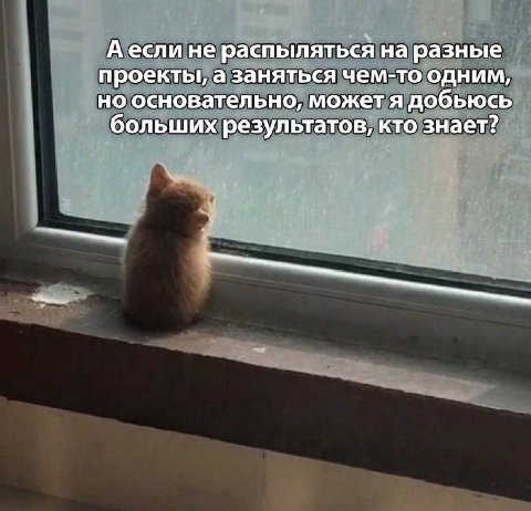А если не распыляться на разные проекты, а Заняться чем-то одним, но основательно, может я добьюсь больших результатов, кто знает?