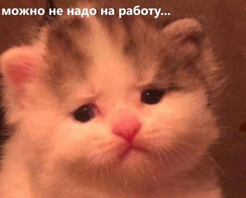 можно не надо на работу...