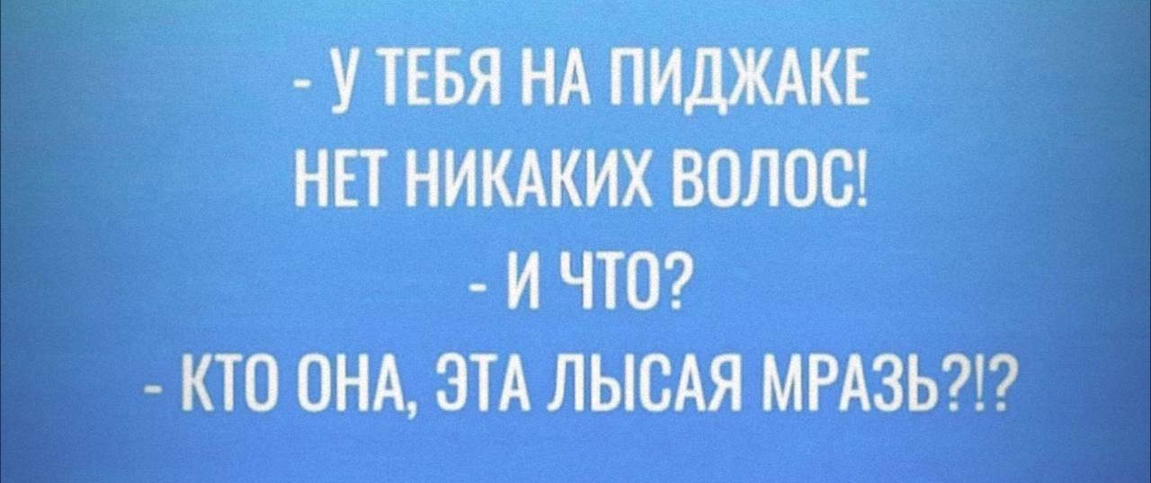 УТЕБЯ НА ПИДЖАКЕ НЕТ НИКАКИХ ВОЛОС! ИЧТО? КТО ОНА, ЭТА ЛЫСАЯ МРАЗЬ?!?