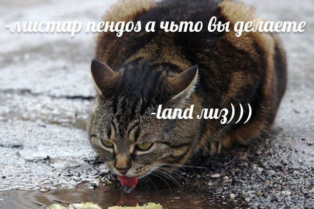 05 а чьто вы 4