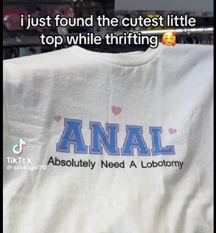 found little top while thrifting ANAL Absolutely Need A Lobotomy