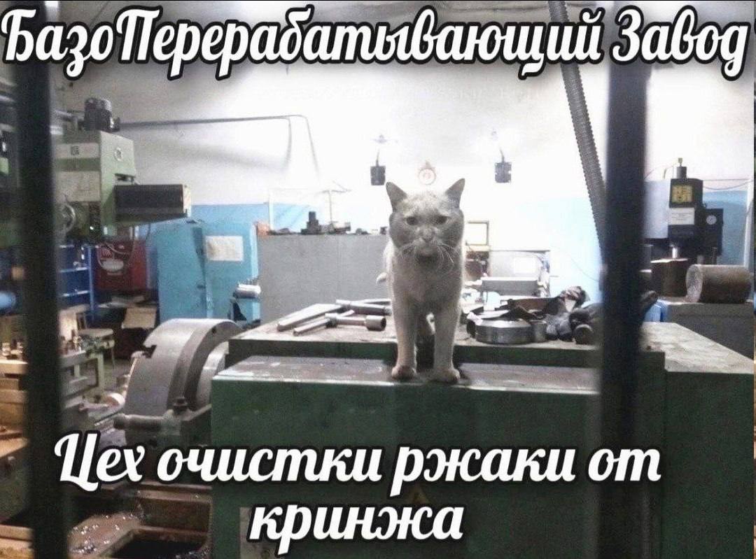 3abog we in Цех очистки ржаки от кринжа