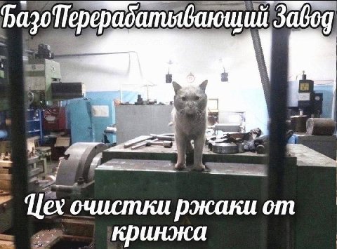 3abog we in Цех очистки ржаки от кринжа