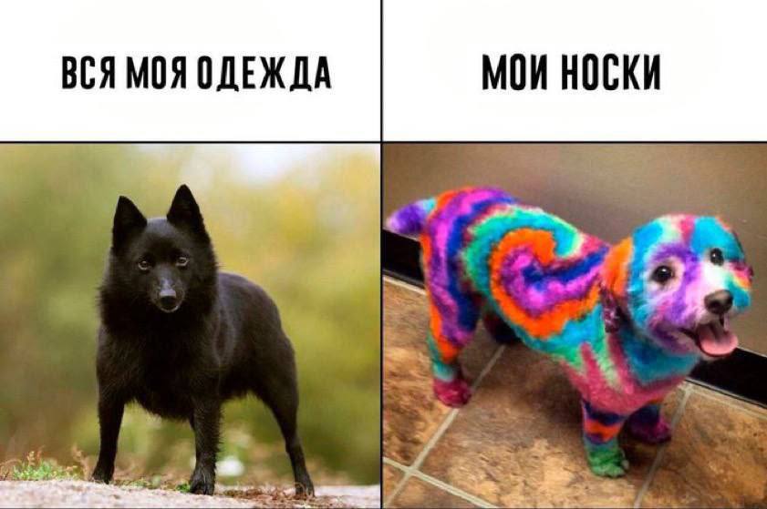 ВСЯ МОЯ ОДЕЖДА