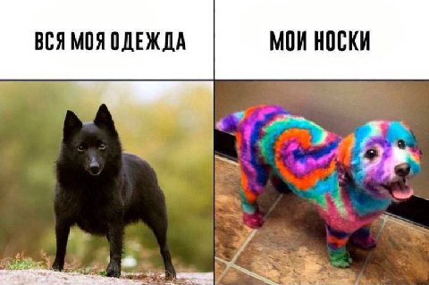 ВСЯ МОЯ ОДЕЖДА