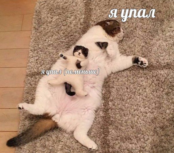 4 3 A удал (по 4 2 5