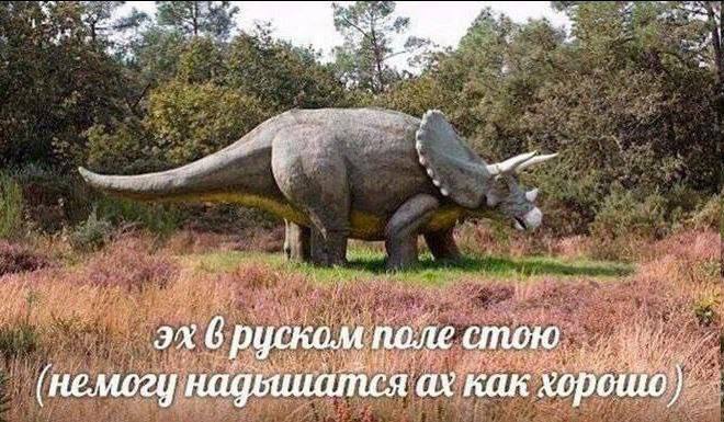 faq 6 руском поле как хорошо