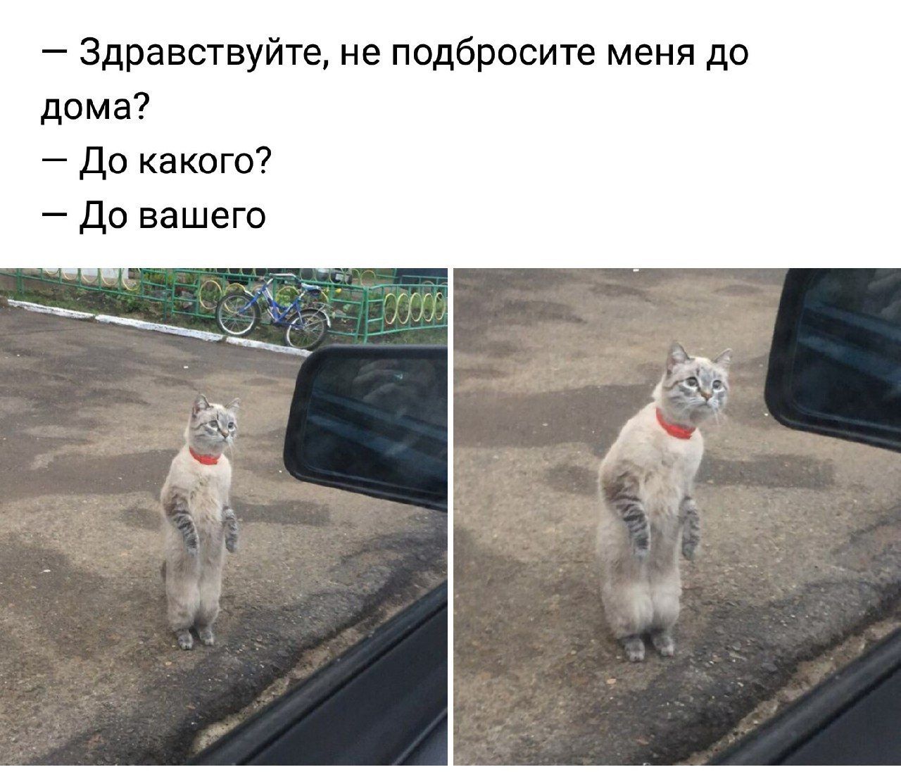 Здравствуйте, не подбросите меня до дома? До какого? До вашего