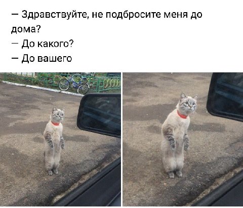 Здравствуйте, не подбросите меня до дома? До какого? До вашего