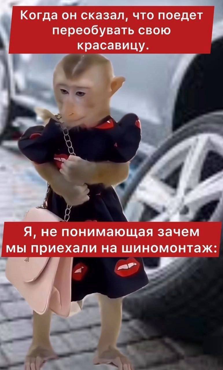 Когда он сказал, что поедет переобувать свою красавицу. a Я, не понимающая зачем мы приехали на шиномонтаж: