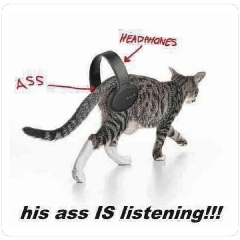 HEADPHONES ASS his ass IS listening.