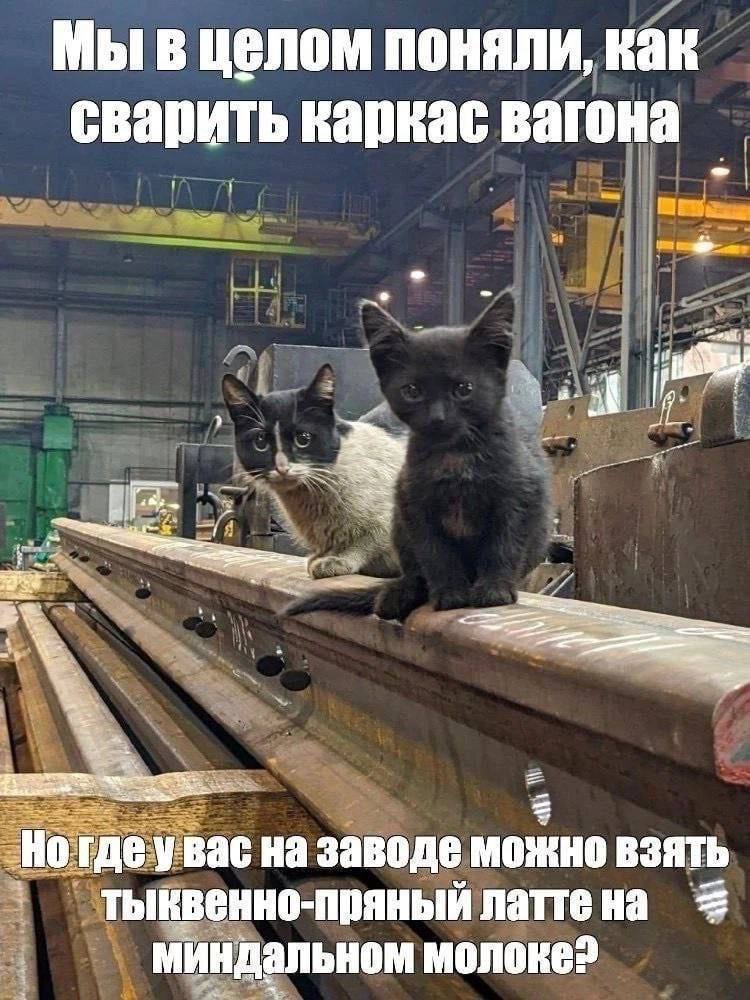 Мы в целом поняли, как сварить каркас вагона 4 2; деу вас на заводе можно взять тыквенно-пряный латтена миндальном молоке?